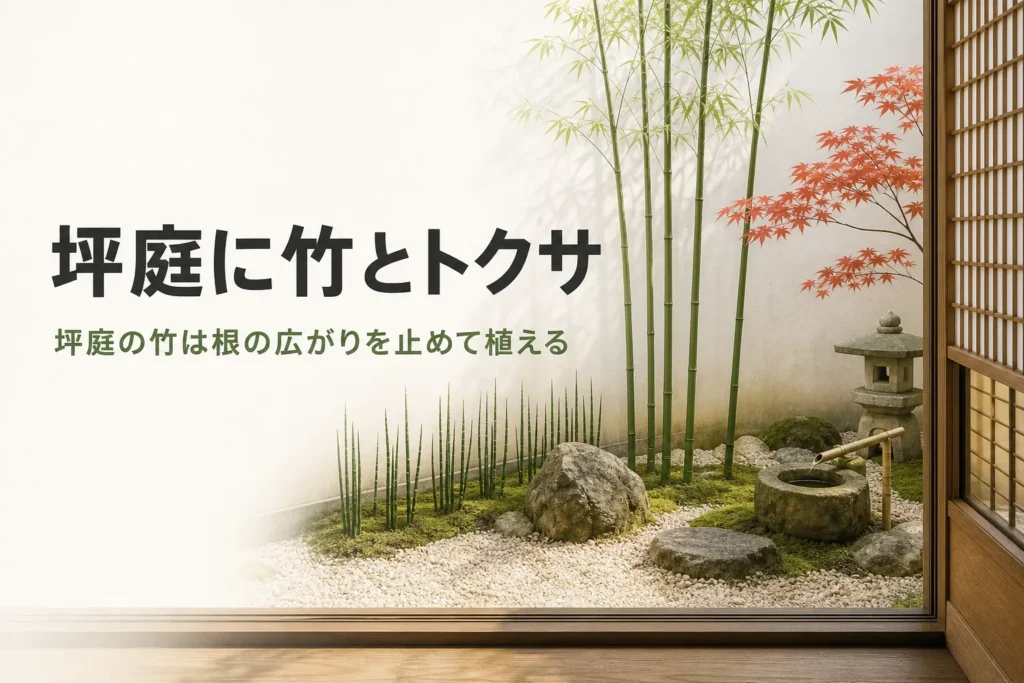 坪庭に竹やトクサを植える方法と増えすぎ対策を紹介する記事のアイキャッチ