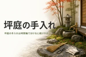 坪庭の手入れの流れと業者に頼むタイミングを紹介する記事のアイキャッチ