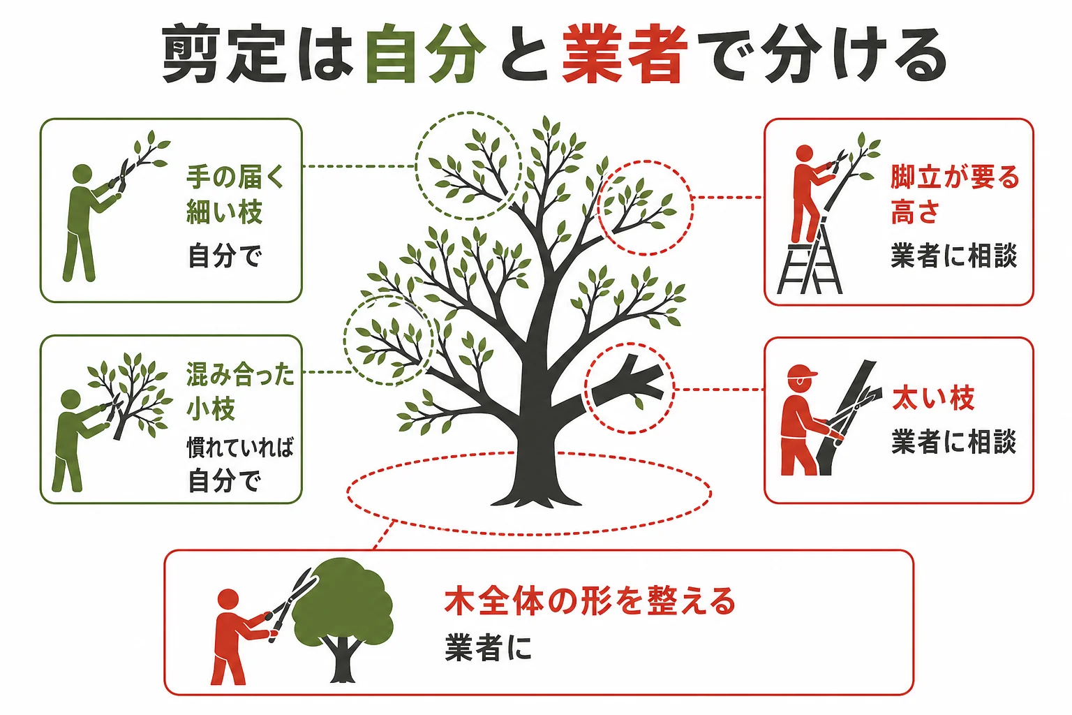 坪庭の剪定を自分でやる所と業者に頼む所に分けた図解