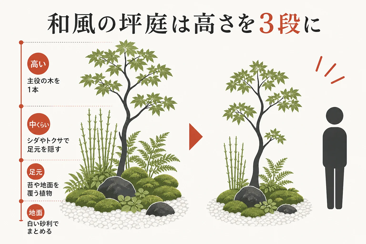和風の坪庭を植栽の高さ3段と砂利で仕上げた例の図解